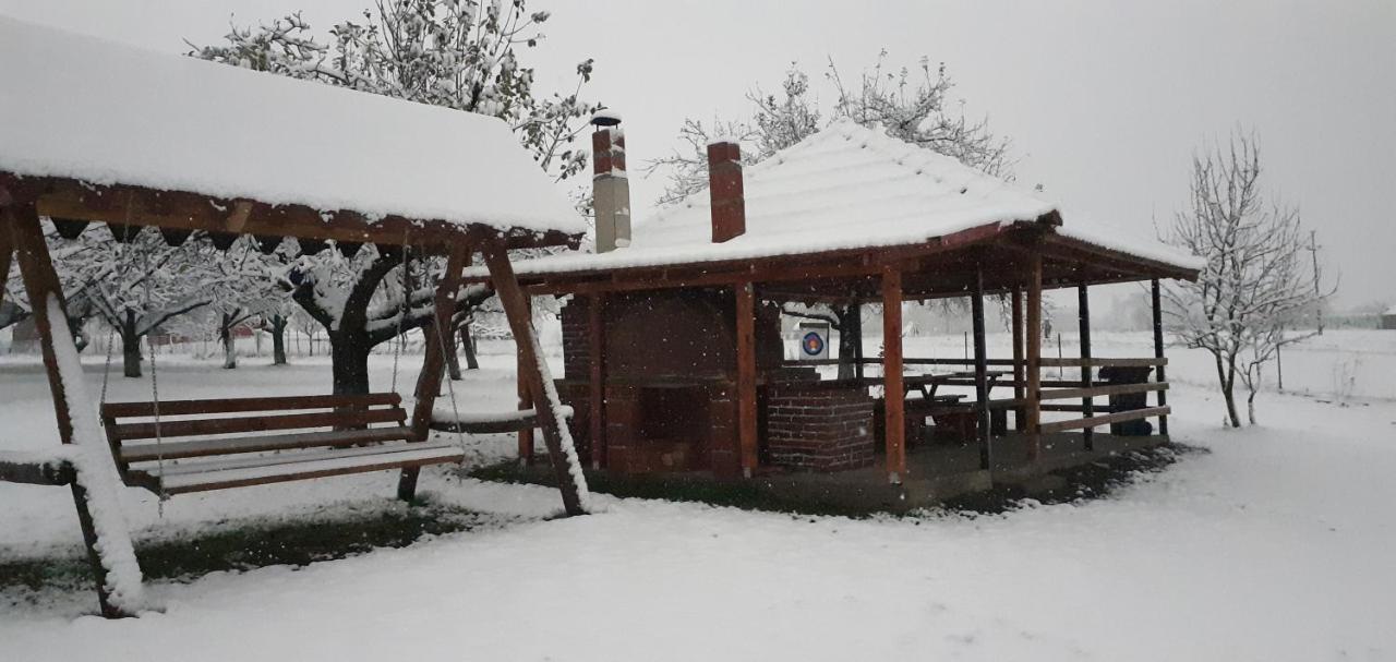 Pensiunea Agroturistica Ica Valea Drăganului 외부 사진