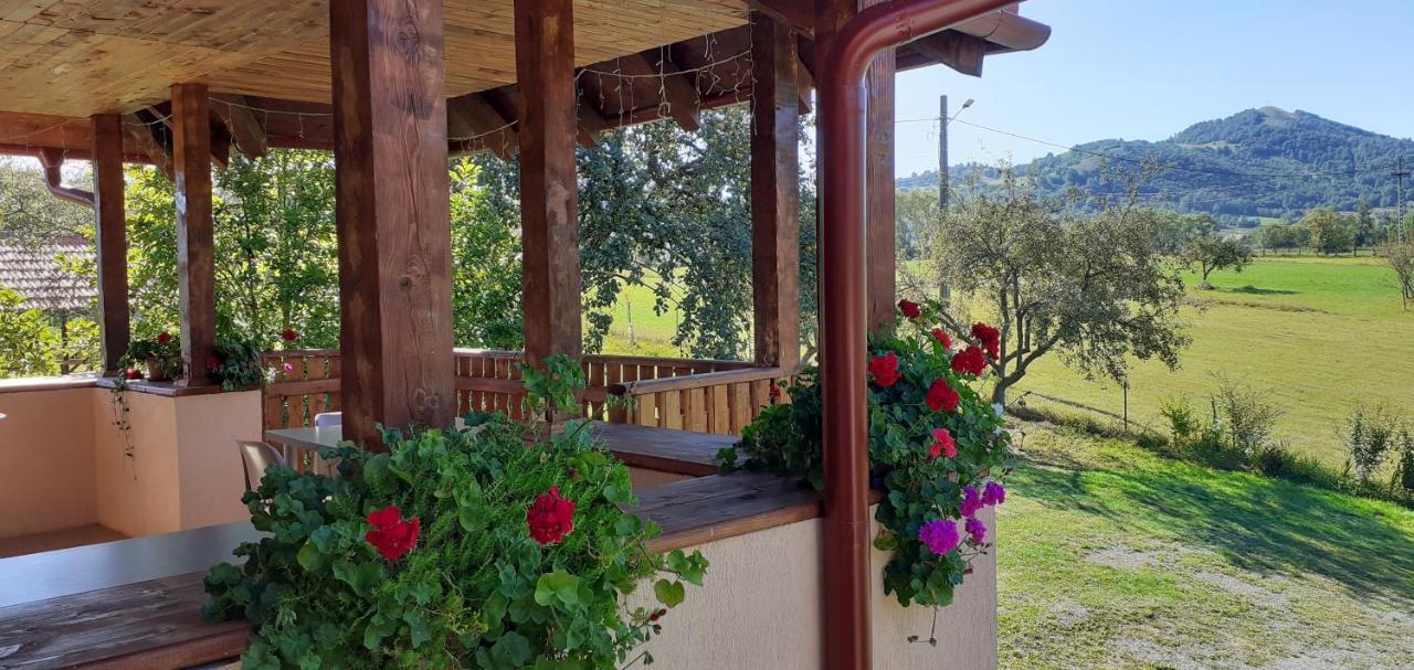 Pensiunea Agroturistica Ica Valea Drăganului 외부 사진