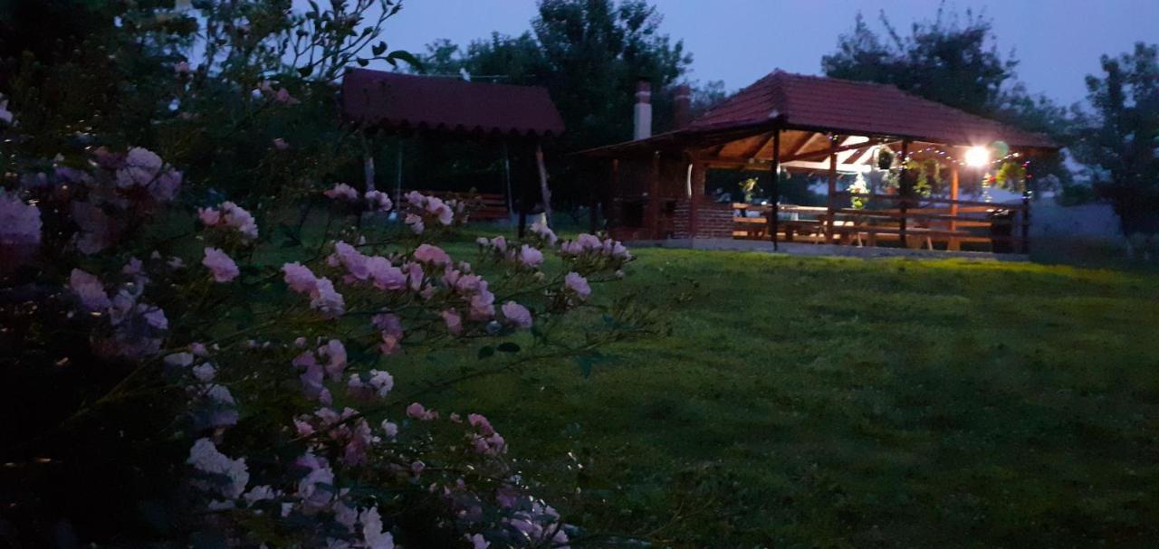Pensiunea Agroturistica Ica Valea Drăganului 외부 사진