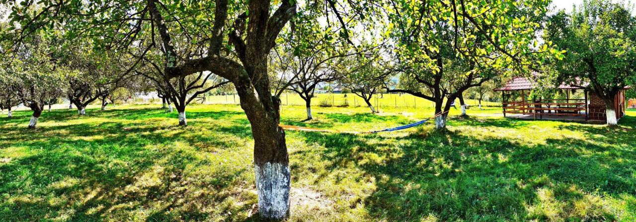 Pensiunea Agroturistica Ica Valea Drăganului 외부 사진