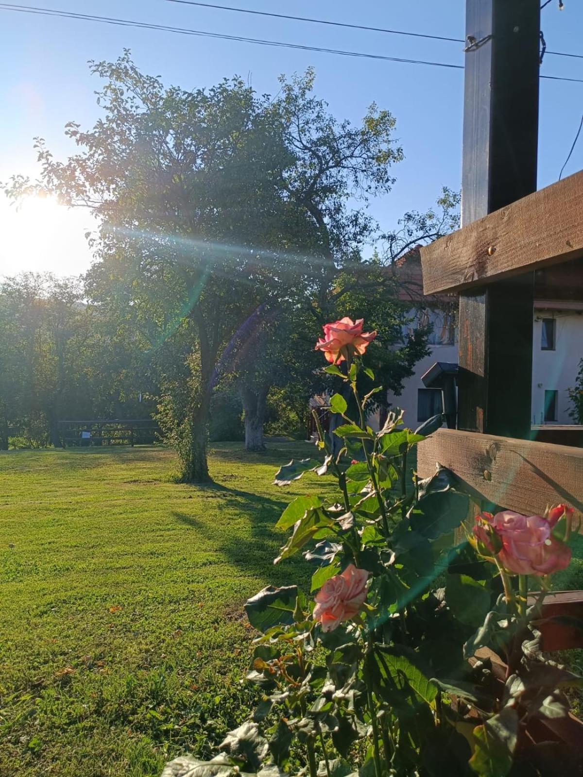 Pensiunea Agroturistica Ica Valea Drăganului 외부 사진