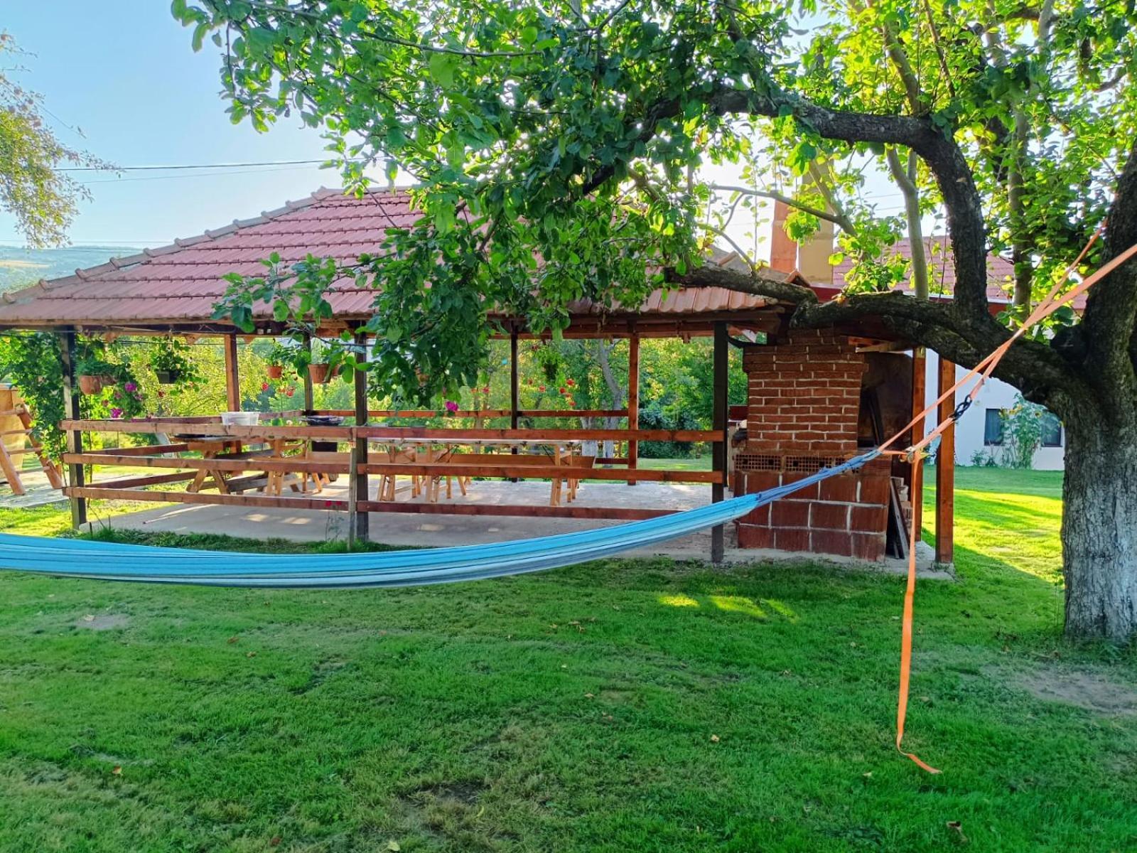 Pensiunea Agroturistica Ica Valea Drăganului 외부 사진