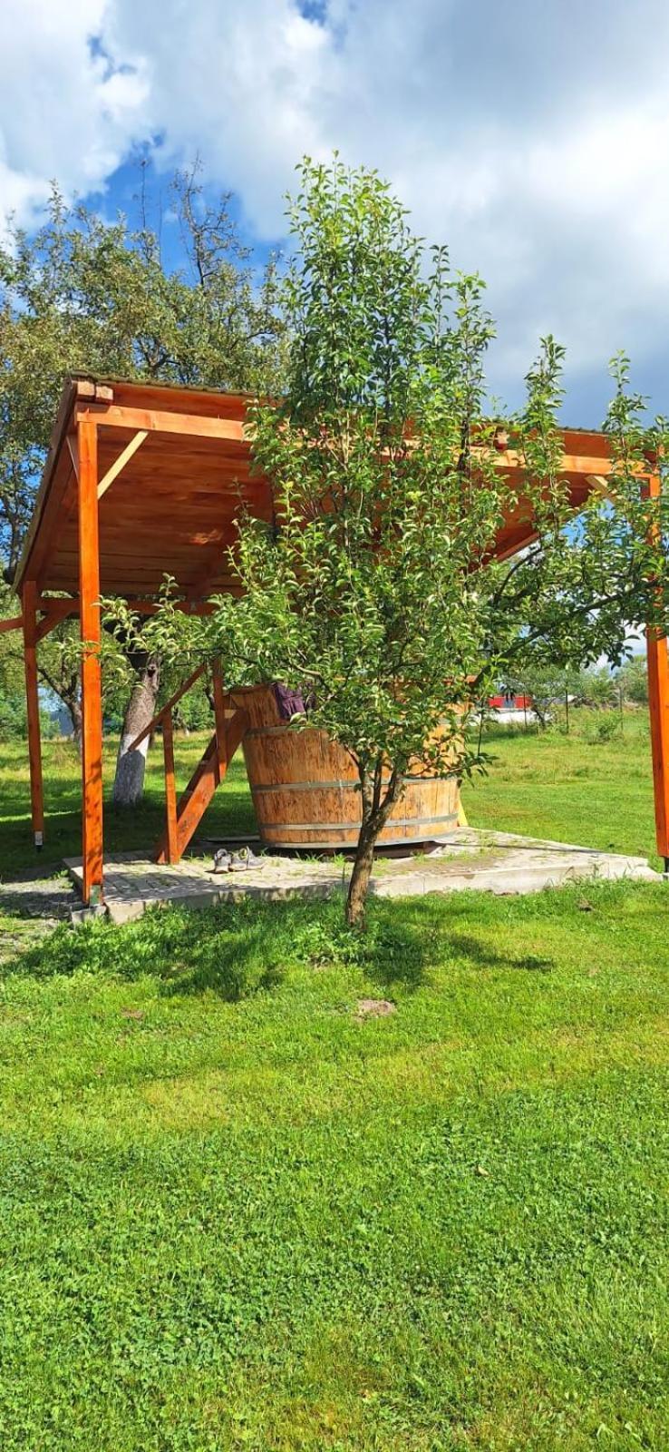 Pensiunea Agroturistica Ica Valea Drăganului 외부 사진