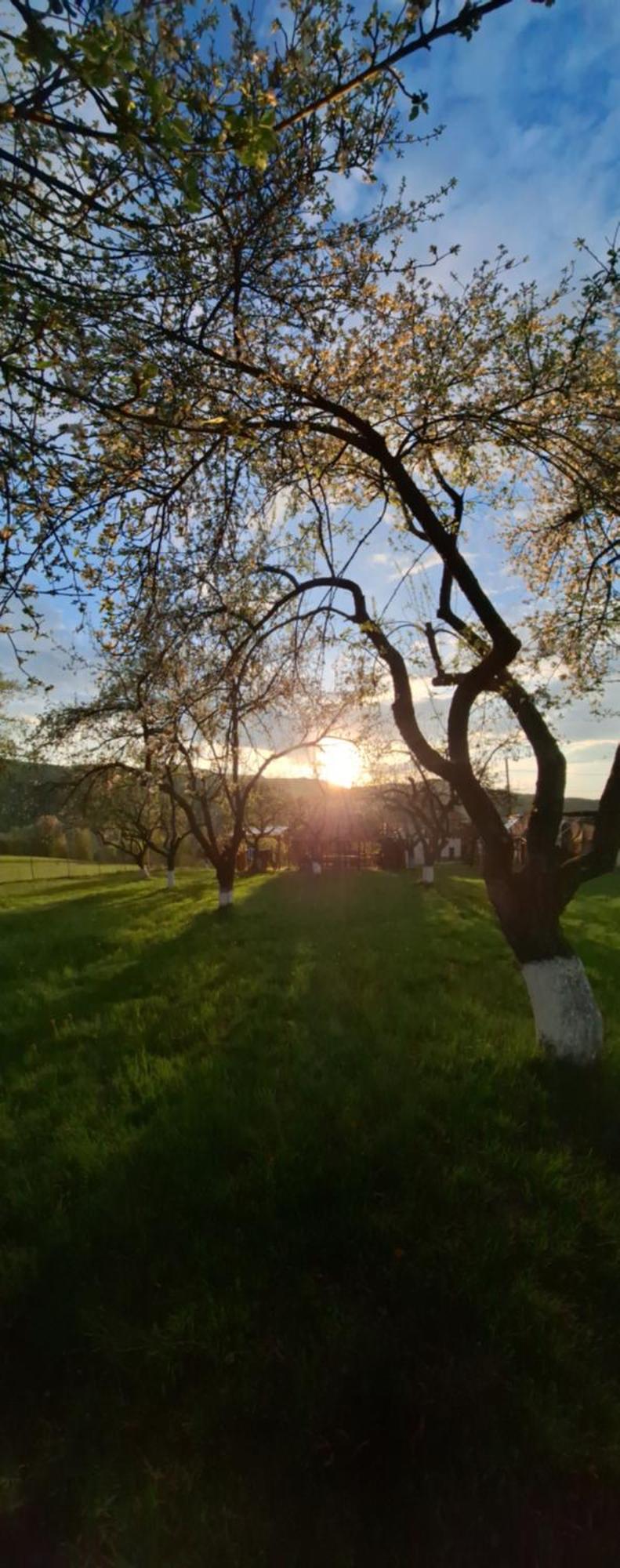 Pensiunea Agroturistica Ica Valea Drăganului 외부 사진